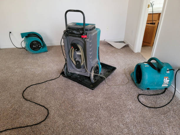 Best 24/7 water damage repair  in Corbin, KY
