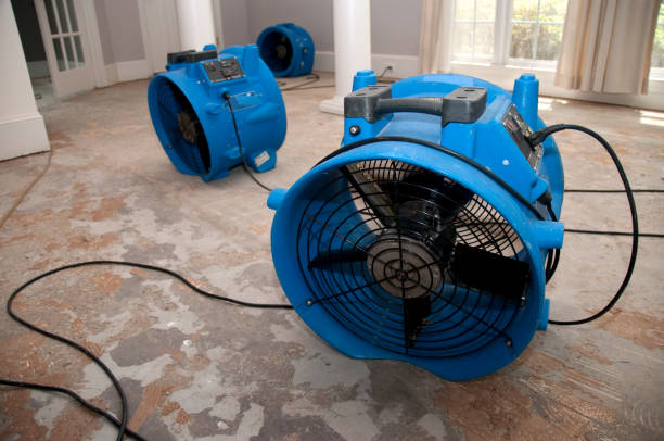 Best Flood damage cleanup  in Corbin, KY